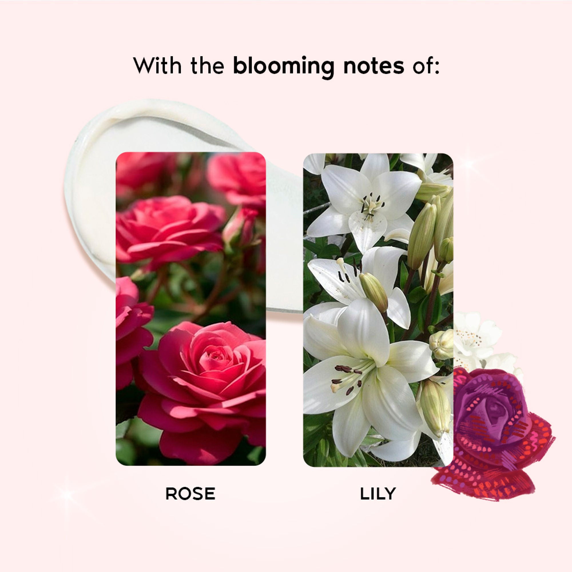 Wanderlust Moisturizing Body Lotion - English Country Rose - Distacart