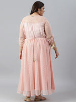 Thumbnail for AURELIA Plus Size Floral Embroidered Chiffon Maxi Fit & Flare Dress