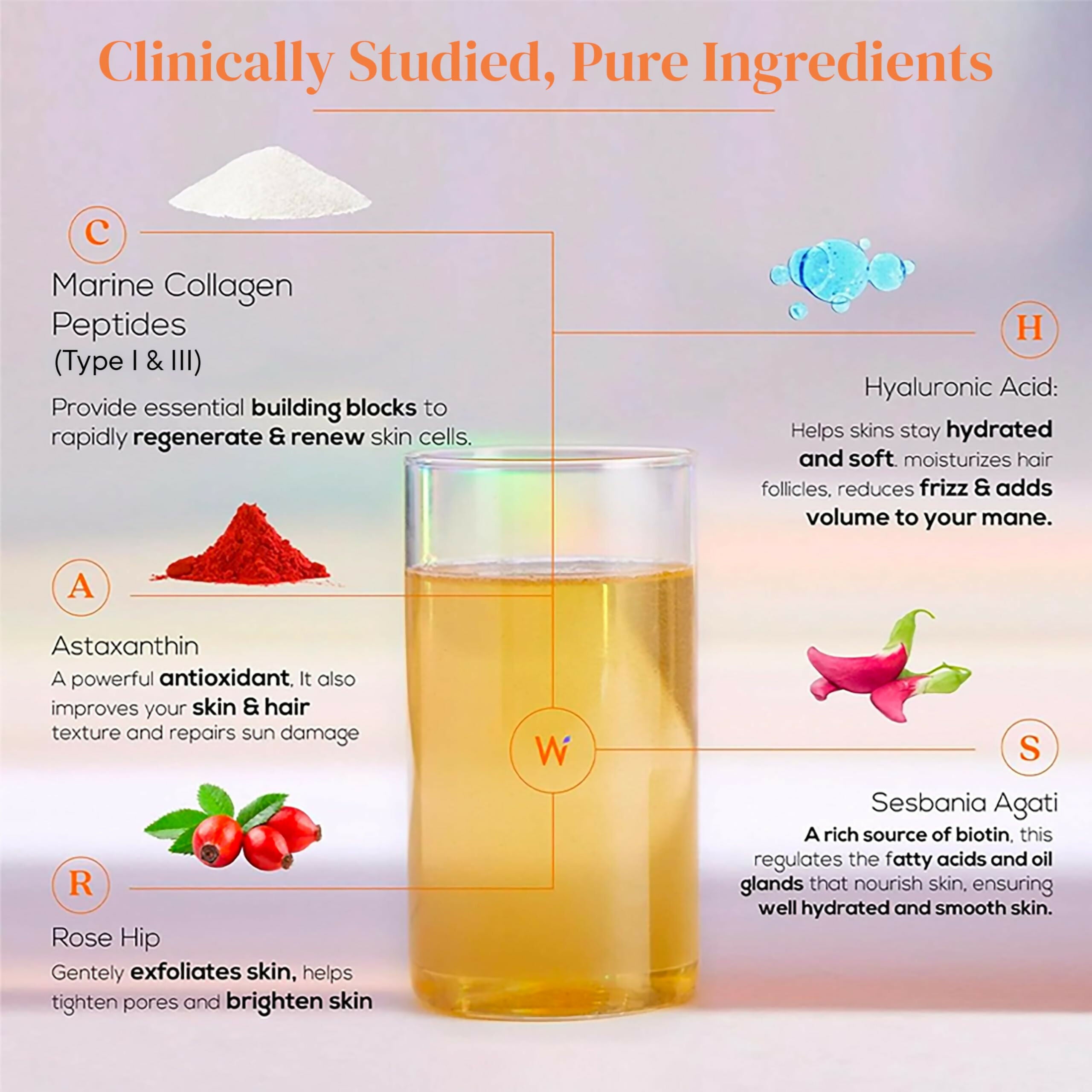 Wellbeing Nutrition Glow Korean Marine & Beauty Collagen Combo: Tropical Bliss & Mango Peach Flavor - Distacart