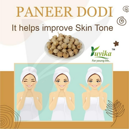 Yuvika Paneer DODI - Paneer Ke Phool - Withania Coagulan - Distacart