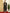 Jyoti Fashion Women's Black Georgette Resham Thread & Sequin Kurta with Trouser & Dupatta - Distacart
