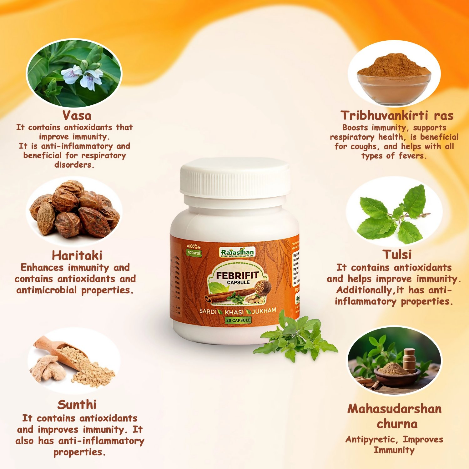 Rajasthan Herbals Febrifit Capsules