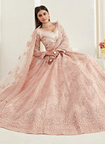 Thumbnail for Vegaa Fashion Peach Net Embroidered Wedding Lehenga