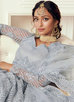 Thumbnail for Vegaa Fashion Light Grey Net Embroidered Wedding Lehenga