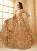 Thumbnail for Vegaa Fashion Beige Net Thread Work Wedding Lehenga