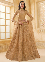 Thumbnail for Vegaa Fashion Beige Net Thread Work Wedding Lehenga