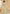 Vegaa Fashion Off White Net Thread Work Wedding Lehenga