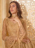 Thumbnail for Vegaa Fashion Beige Net Thread Work Wedding Lehenga