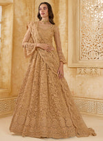 Thumbnail for Vegaa Fashion Beige Net Thread Work Wedding Lehenga