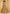 Vegaa Fashion Beige Net Thread Work Wedding Lehenga