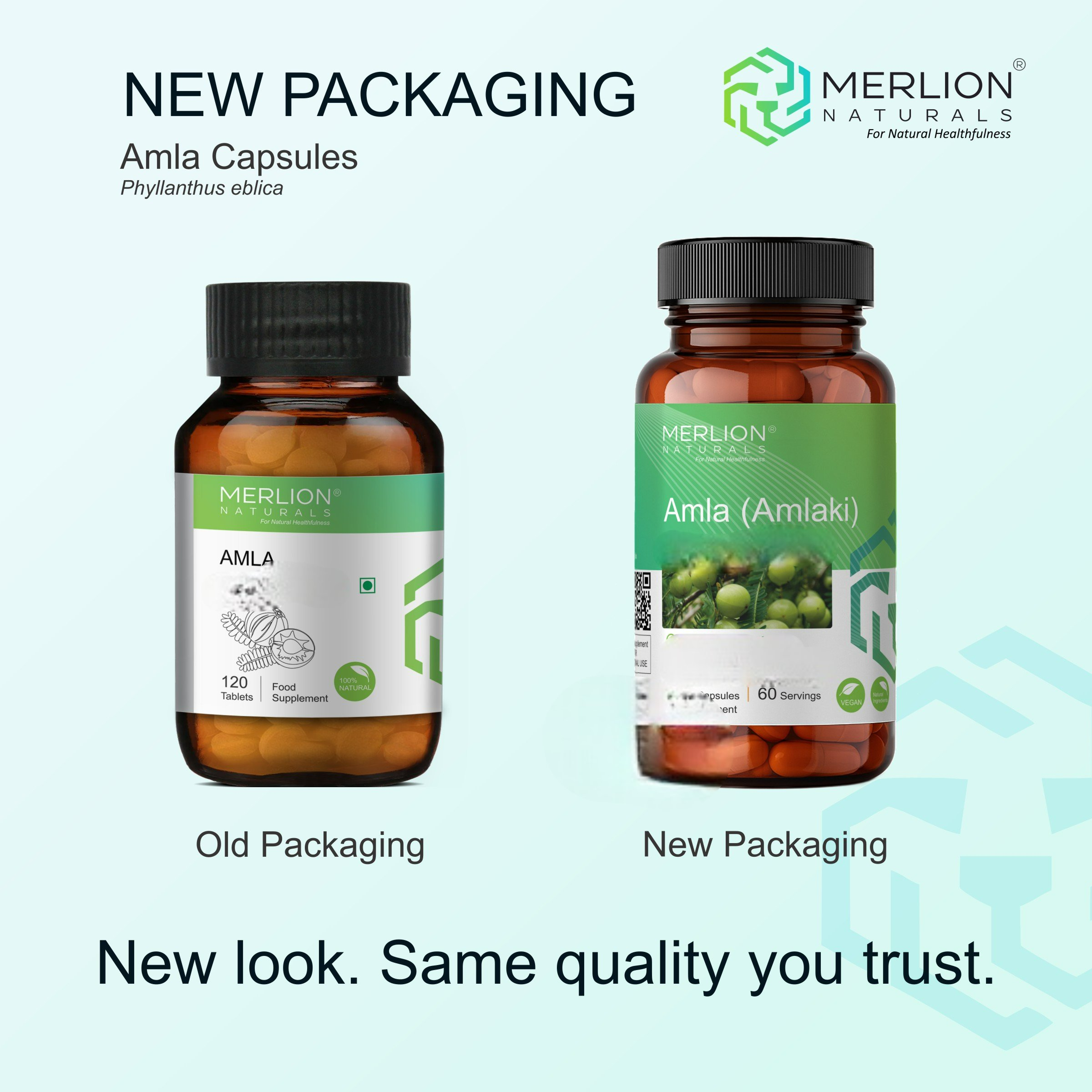 Merlion Naturals Amla 500mg Capsules - Dista
