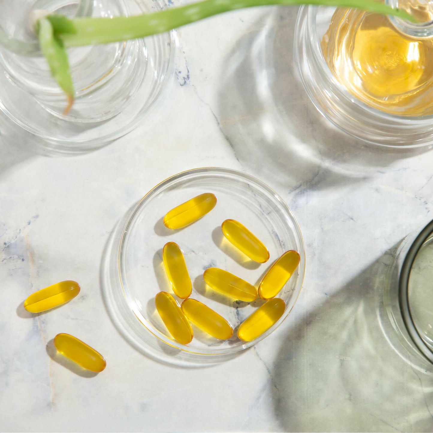 Franch OG-3 Veg Capsules - Distacart