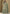 Vegaa Fashion Light Green Art Silk Embroidered Lehenga Style Suit