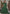 Vegaa Fashion Green Net Embroidered Anarkali Suit