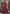 Vegaa Fashion Wine Net Embroidered Anarkali Suit