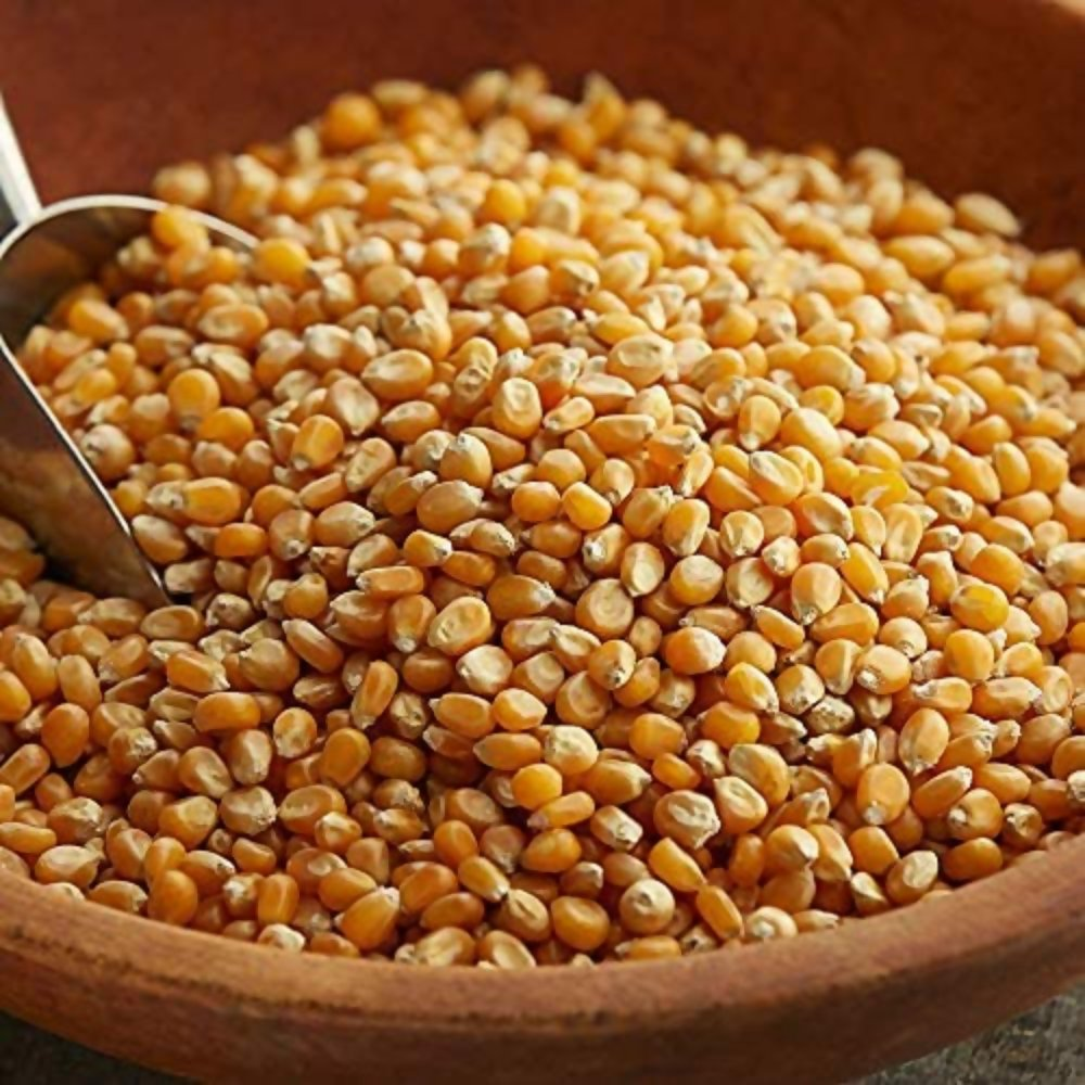 FreshoCartz Popcorn Kernel Seeds - Dista