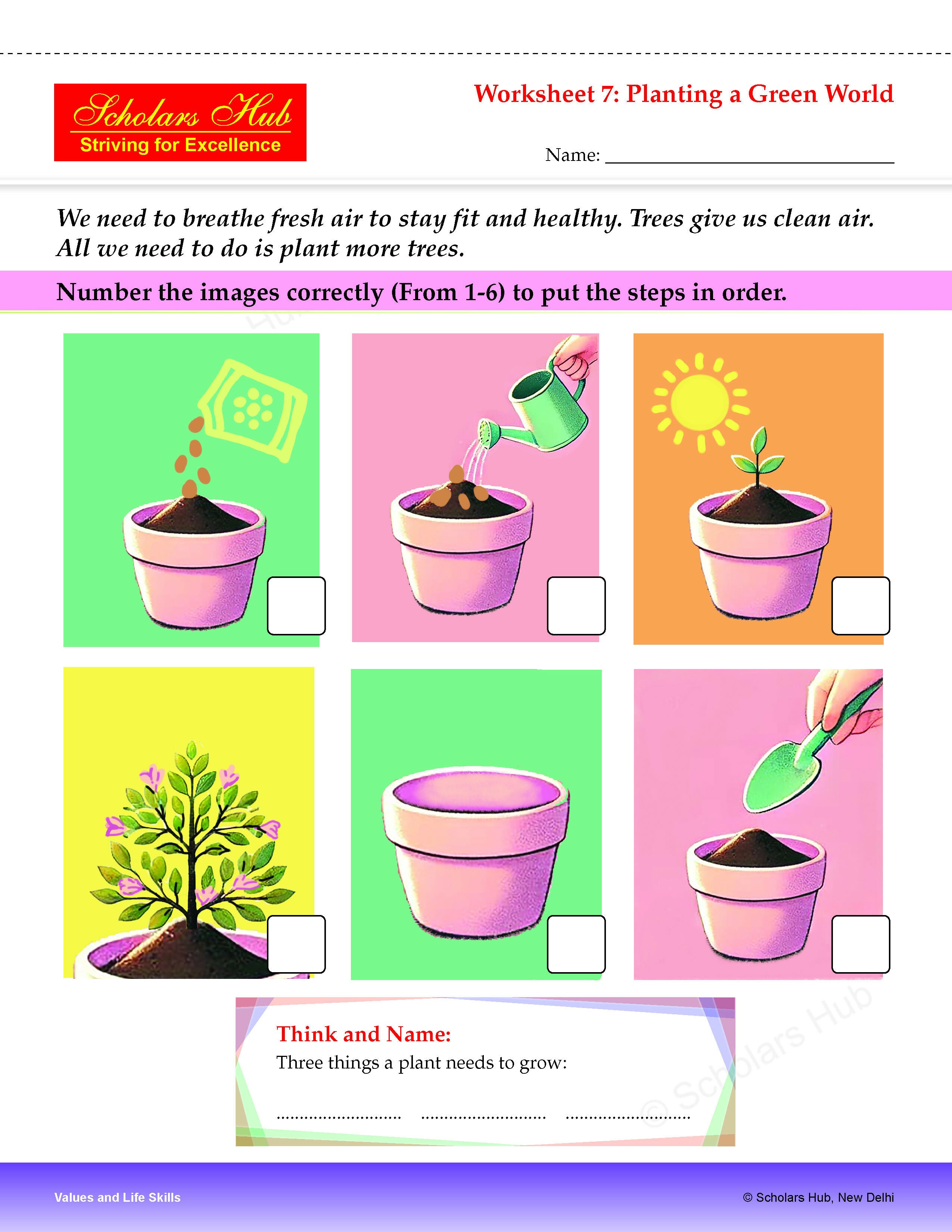 Step By Step Skills-Values And Life Skills Colorful Tearable Worksheets - Dista