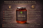 Thumbnail for Village-Organica Raw Wild Honey - Dista
