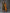 Anouk Women Olive Green & Mustard Brown Printed Kurta with Churidar & Dupatta - Distacart
