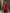 Anouk Woven Design Zari Kanjeevaram Saree - Distacart