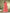 Sangria Printed Pure Cotton Kurti With Palazzo