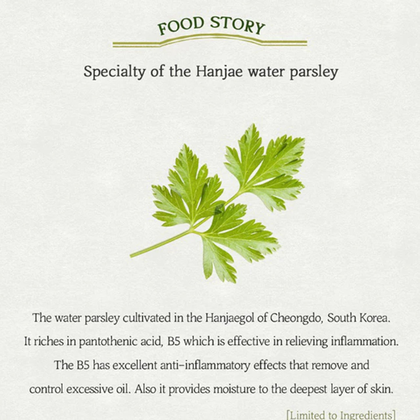 Skinfood Pantothenic Water Parsley Refresh Cleansing Foam - Distacart