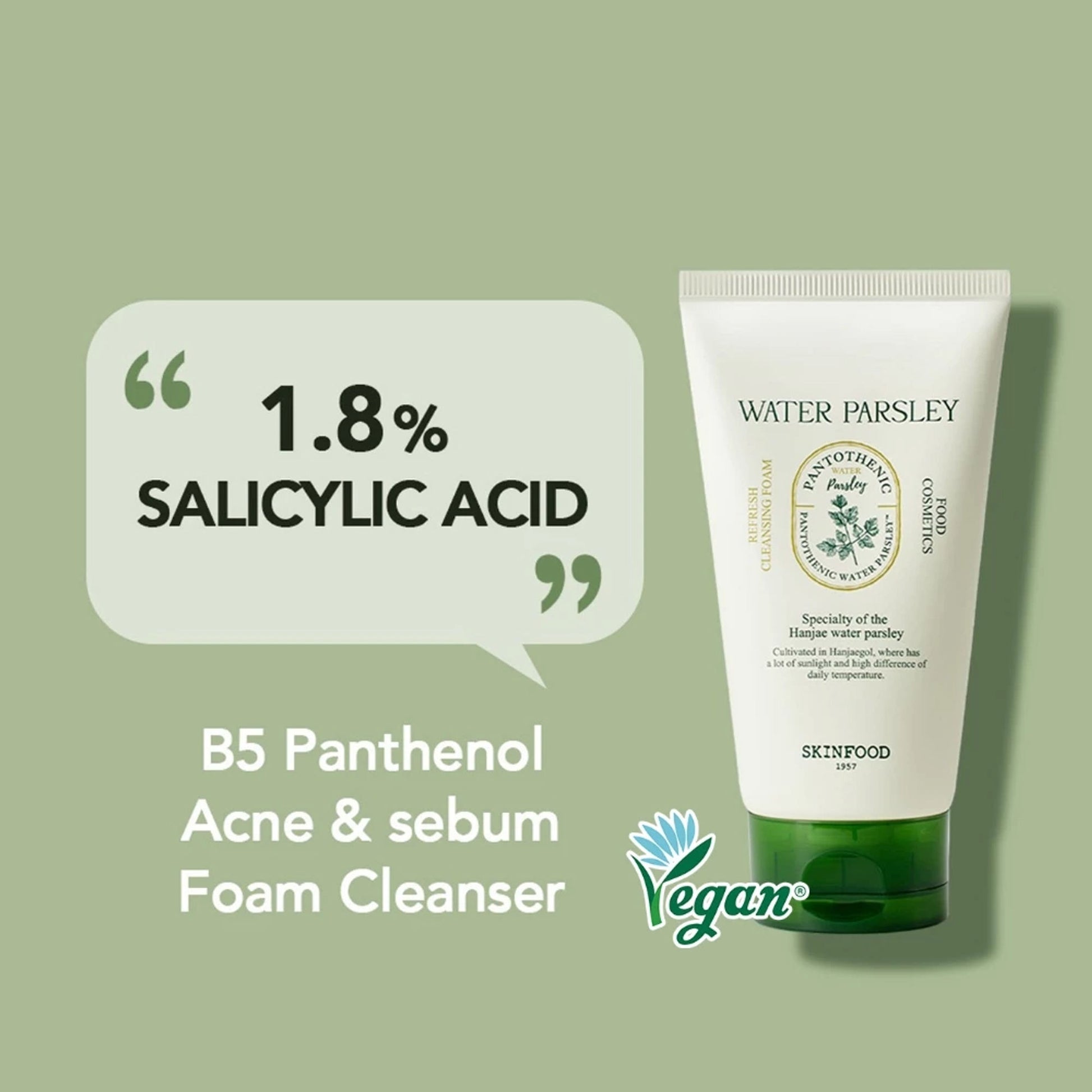 Skinfood Pantothenic Water Parsley Refresh Cleansing Foam - Distacart