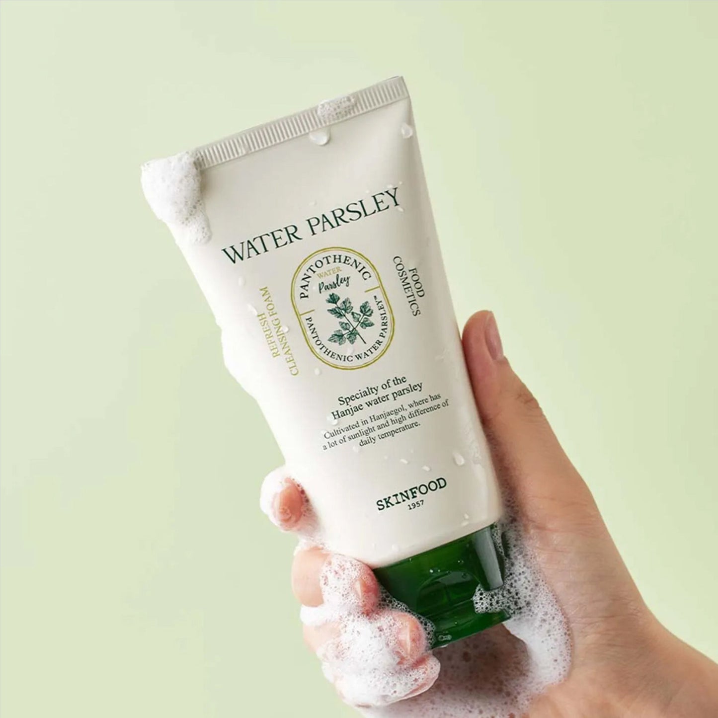 Skinfood Pantothenic Water Parsley Refresh Cleansing Foam - Distacart