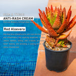 Thumbnail for SANCTUS Bum & Thigh Anti-Rash Cream - Distacart
