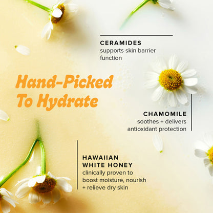Farmacy Beauty Honey Milk Hydrating Essence - Distacart