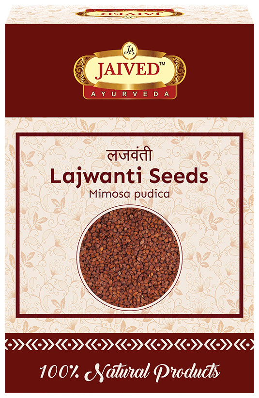 Jaived Ayurveda Sensitive Plant Lajwanti Seeds | Boosts Plant Growth & Adds Natural Beauty Seeds