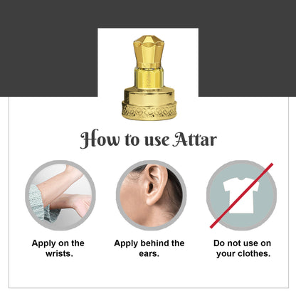 Ajmal India Magnetize Attar Concentrated Perfume For Him - Dista