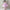 ArthLife Pink Anarkali Dress - Distacart