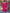 Kalini Regular Kurta with Trousers & With Dupatta - Distacart