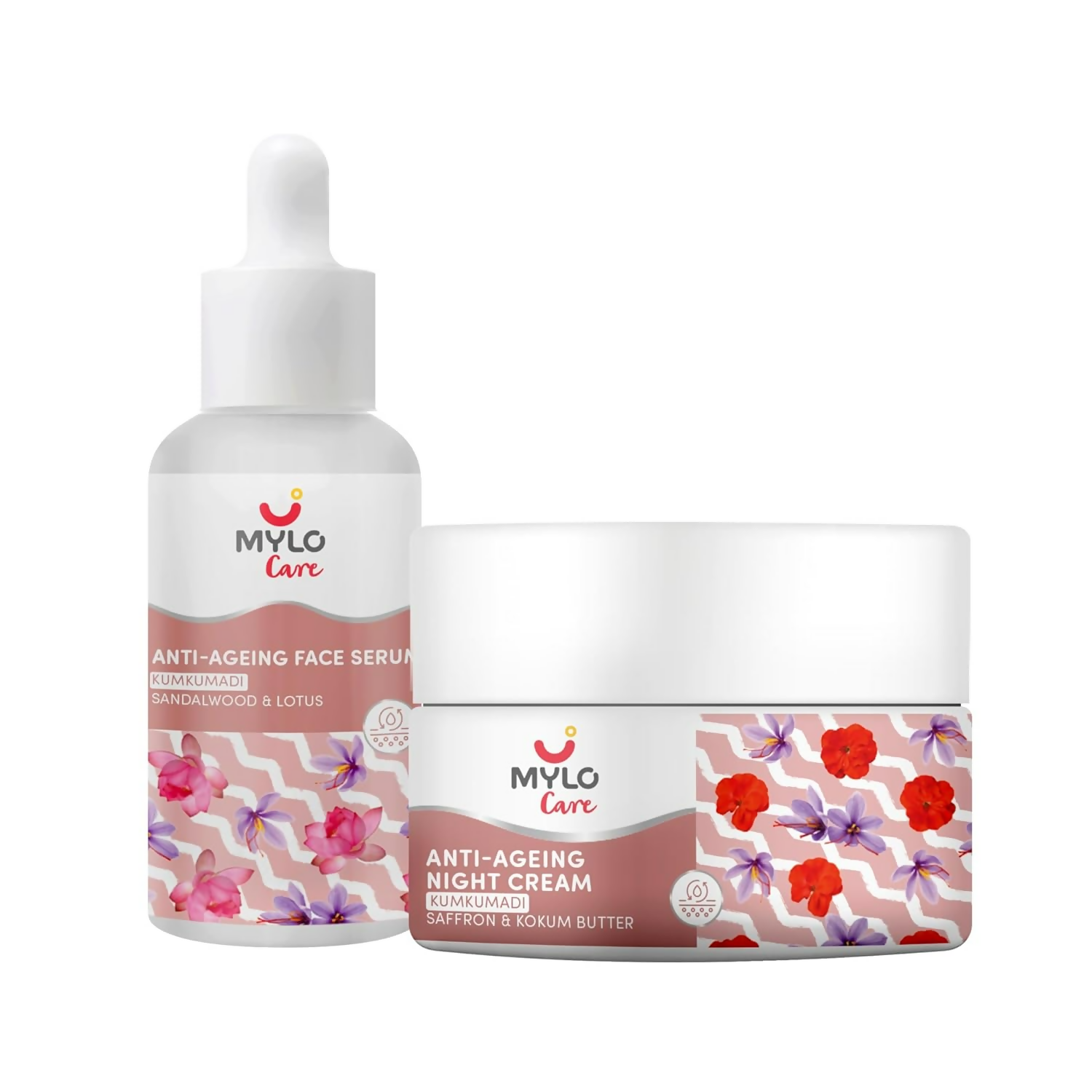 download - 2025-01-24T130826.869