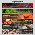 Thumbnail for Supply6 360 Daily Health Supplement 63+ Nutrient, Multivitamin, 3B CFU Probiotic & Superfood - Distacart
