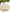 Joban Fashion Bridal Hand Clutch For Women & Young Girls - Golden