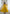 Preksha Creation Yellow Wedding Special Women Pure Roman Silk Chanderi Fabric Anarkali Gown With Dupatta And Pant