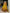 Vastranavya Fancy Floral Print With Foil Work Polyester Viscose Chanderi Lehenga Choli - Mustard
