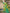 Astita Pochampalli Silk Light Green Saree