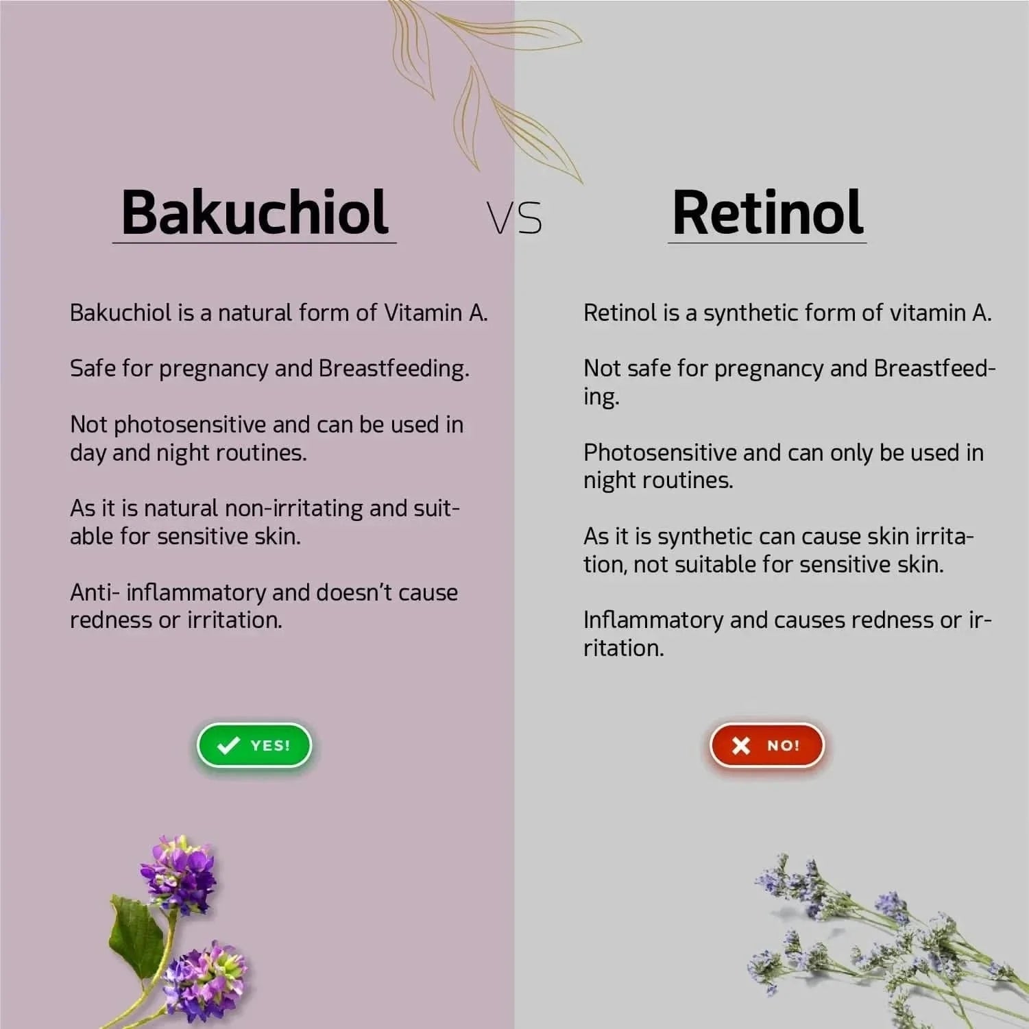 We Herbal|Honest Ayurveda Bakuchiol Serum: Gentle, Ayurvedic Anti-Aging Potion - Distacart
