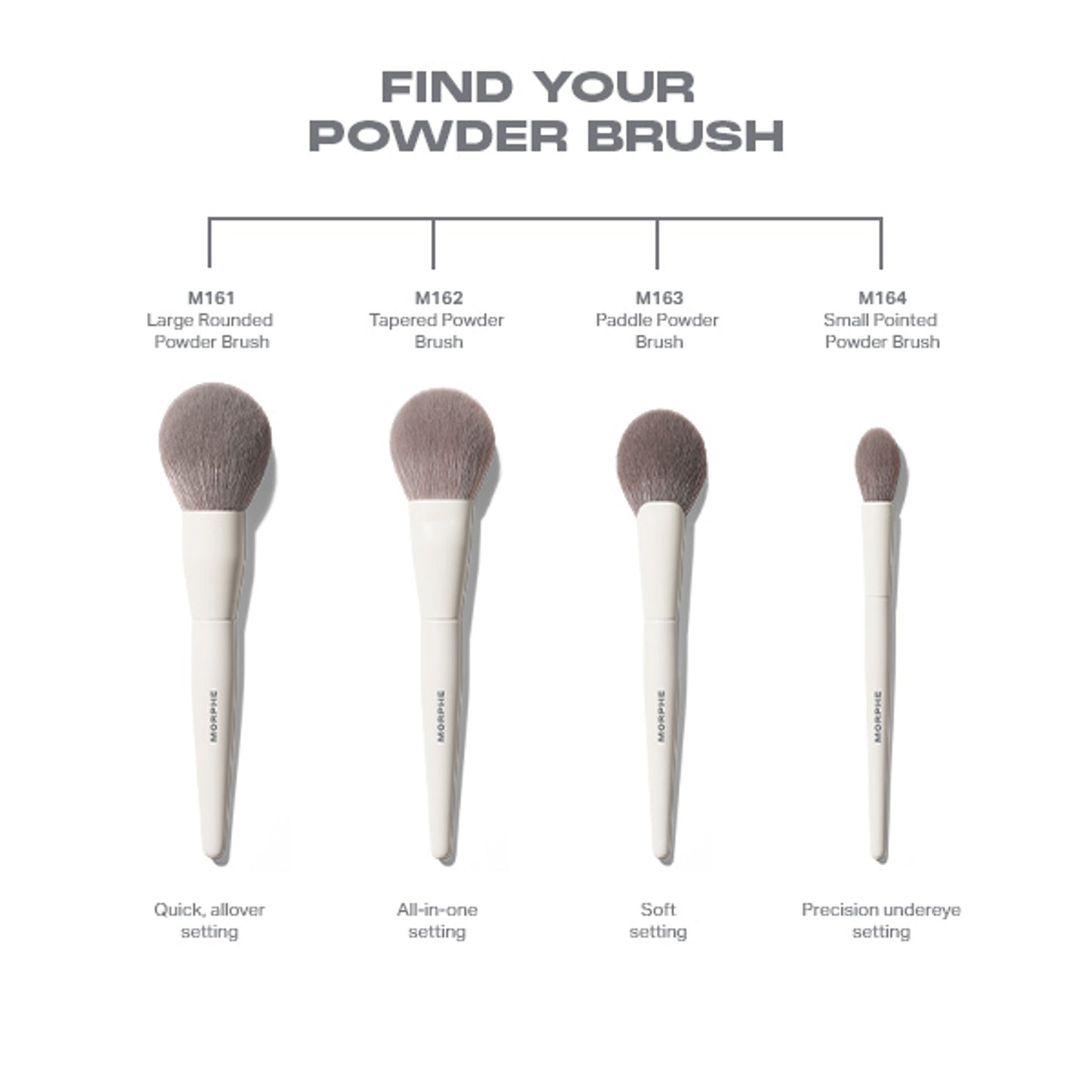 MORPHE M161 Large Rounded Powder Brush - Distacart
