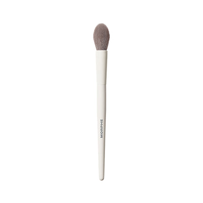 MORPHE M164 Small Pointed Powder Brush - Distacart