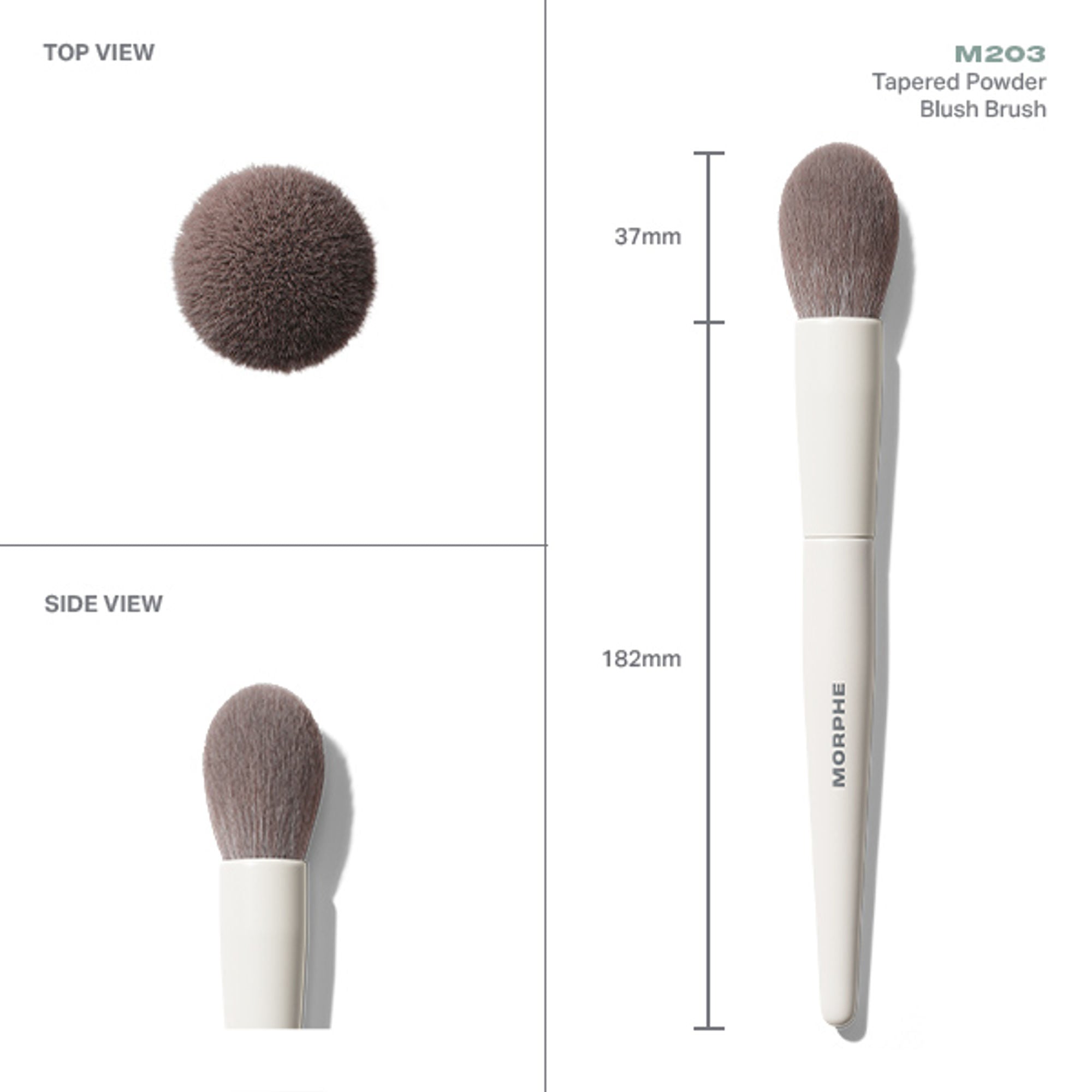 MORPHE M203 Tapered Powder Blush Brush - Distacart