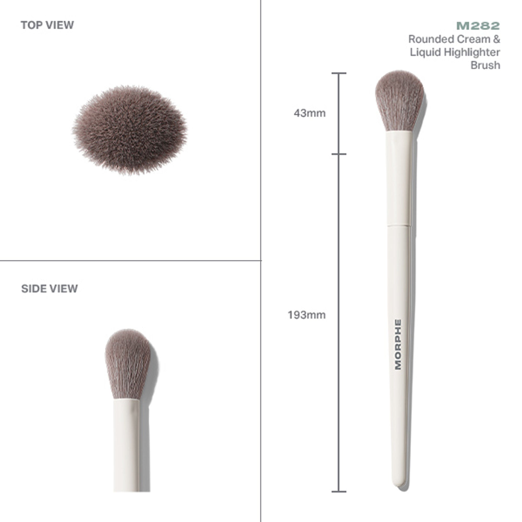 MORPHE M282 Rounded Cream & Liquid Highlighter Brush - Distacart
