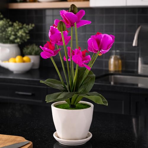 Aarvi Decor Studio Moth Orchid Artificial Plant with Pot