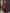 Anouk Purple & Gold-Toned Ethnic Motifs Zari Banarasi Saree - Distacart