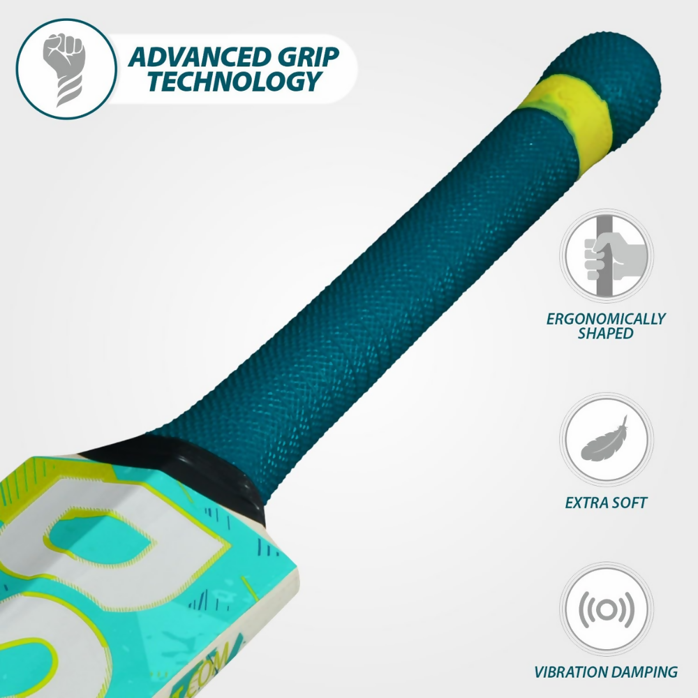 DSC Belter Wood Kashmir Willow Cricket Bat - Dista