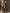 Anouk Woven Design Zari Banarasi Saree - Distacart