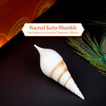 Thumbnail for Pujashree Ketu Shankh – Navagraha Conch For Ketu Dosha Remedies & Puja - Dista